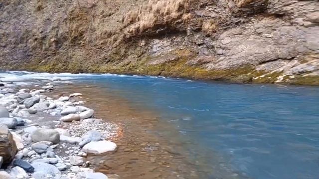 Карп в фольге на углях у реки смотреть онлайн