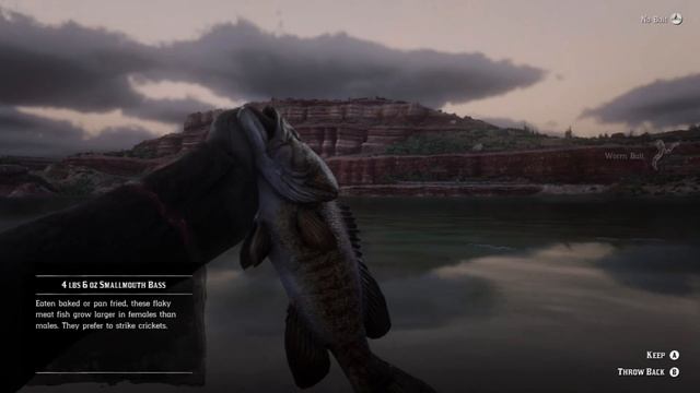 5 Tips to get Money FAST in Red Dead Redemption 2 Online - Quick Cash Guide смотреть онлайн