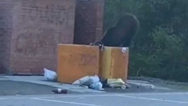 траса Кызыл смотреть онлайн