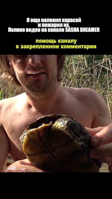 🐢 Поймал черепаху #shorts смотреть онлайн