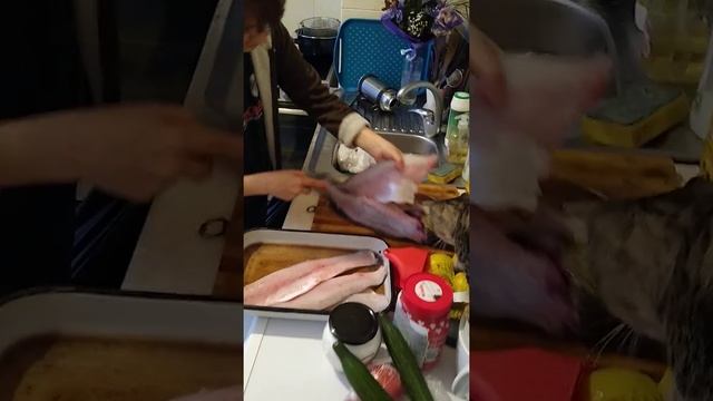 Филетиране на Бяла риба! смотреть онлайн