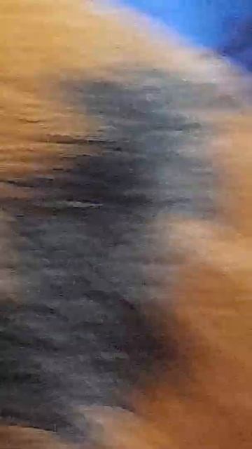 25 марта 2022 г. смотреть онлайн