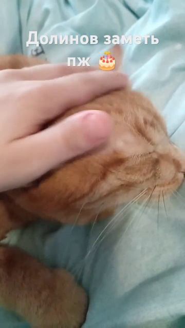 Долинов заметь пж #врек #cat #youtube #яков смотреть онлайн