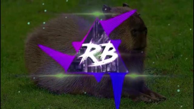 песня капибара