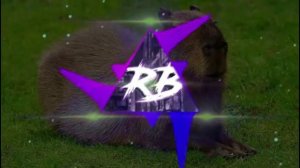 песня капибара