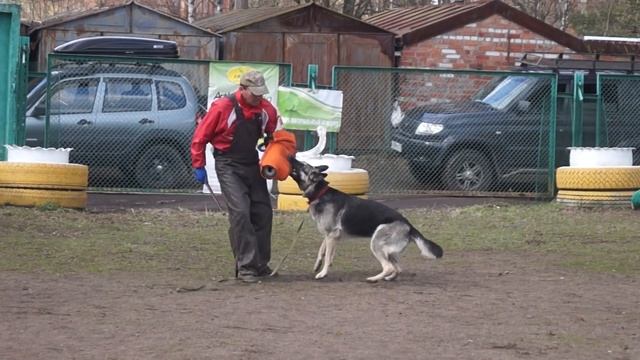 Рысь, 24.04 смотреть онлайн