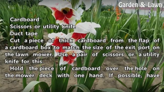DIY Mulch Plug смотреть онлайн