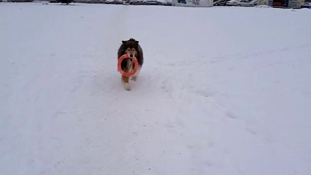 Шел, 10.5 лет, январь 23 смотреть онлайн