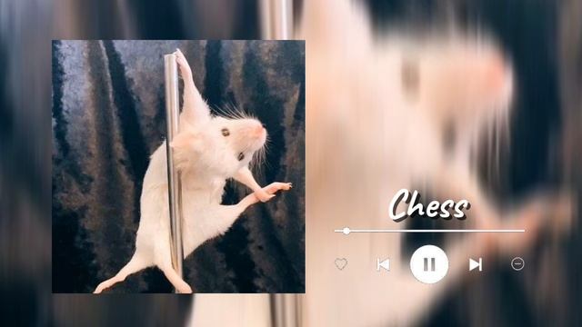 Chess - Joyful (slowed) смотреть онлайн