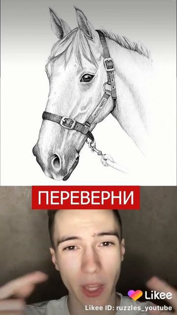 картинка перевертыш смотреть онлайн