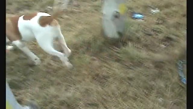 Добрый Дух Путимир РОККИ смотреть онлайн