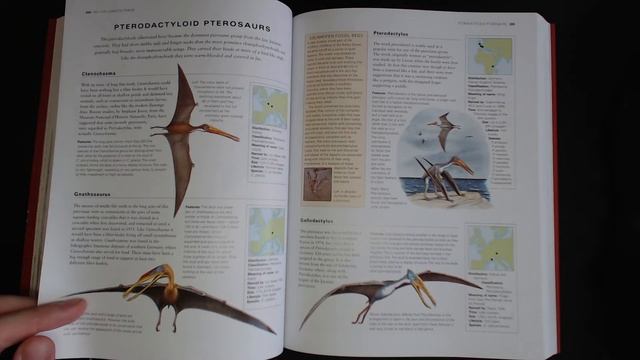 DINOSAURS & PREHISTORIC CREATURES de DOUGAL DIXON | Especial PaleoArte смотреть онлайн