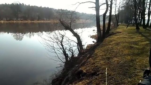 11 04 15 смотреть онлайн