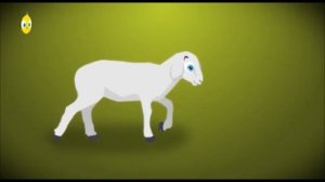 Pulcino Pio - Kurczaczek Pi