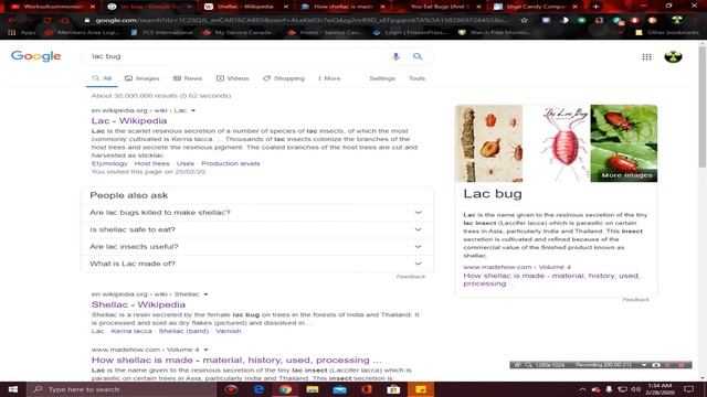 Bug Secretions on our FOOD смотреть онлайн