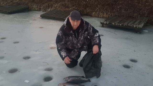 31-01-2025 смотреть онлайн