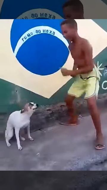 dancing dog, танцующая собака смотреть онлайн