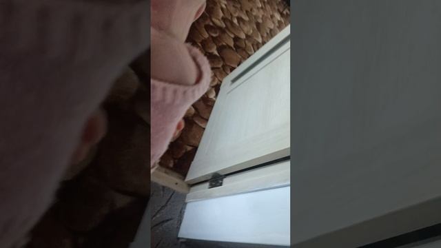 1000000241.mp4 смотреть онлайн