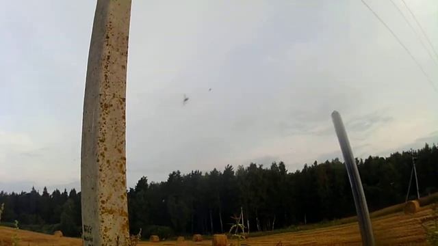 охота на голубя 2 смотреть онлайн