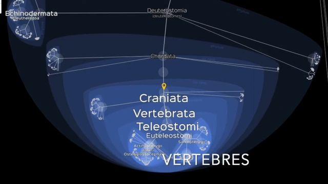 3e - Th 2 - Chap 2 - LifeMap - La place de l'espèce Humaine смотреть онлайн
