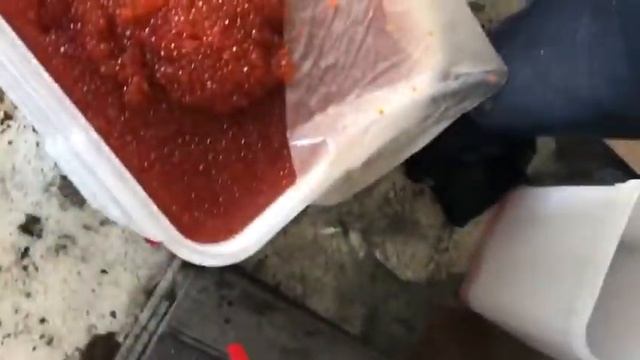 Свежайшая смотреть онлайн