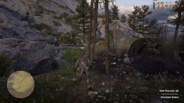 Red Dead Redemption 2 Story Mission 