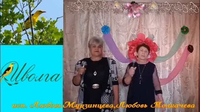 "Иволга." смотреть онлайн