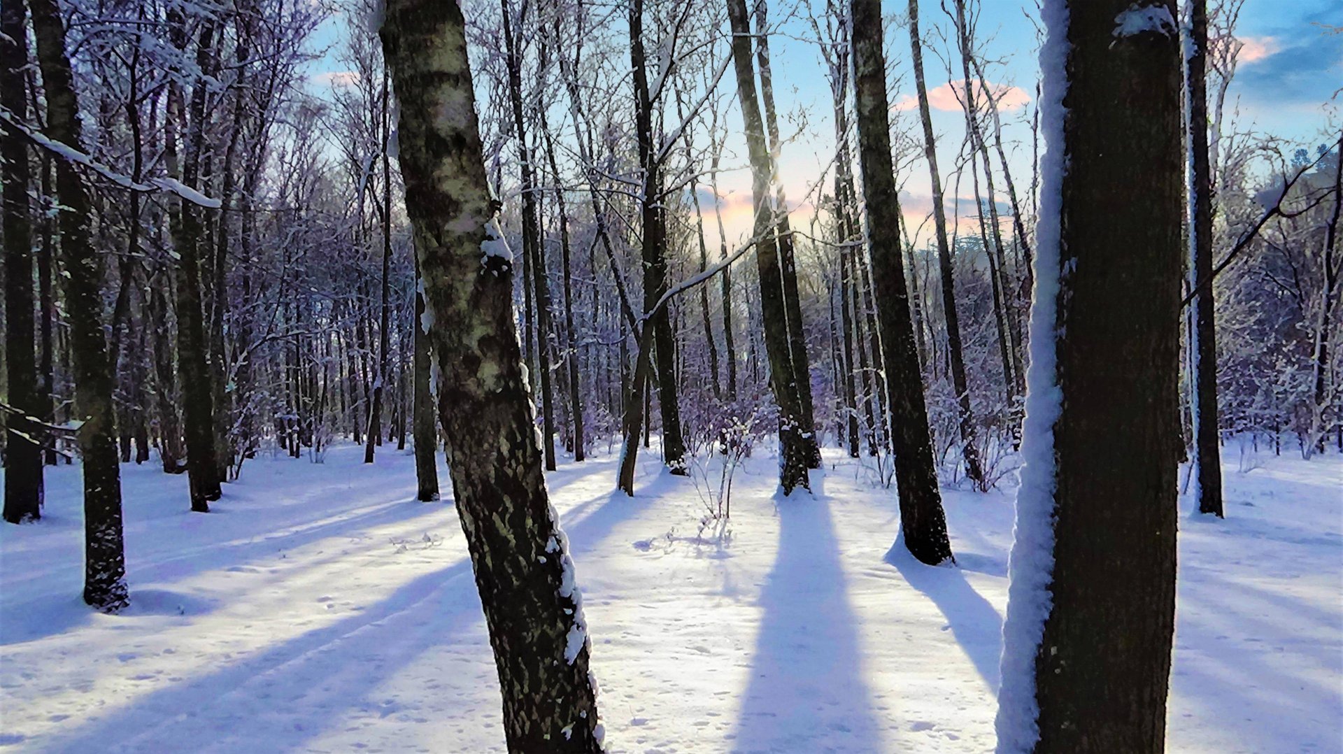 Вика Цыганова - Время смотреть онлайн
