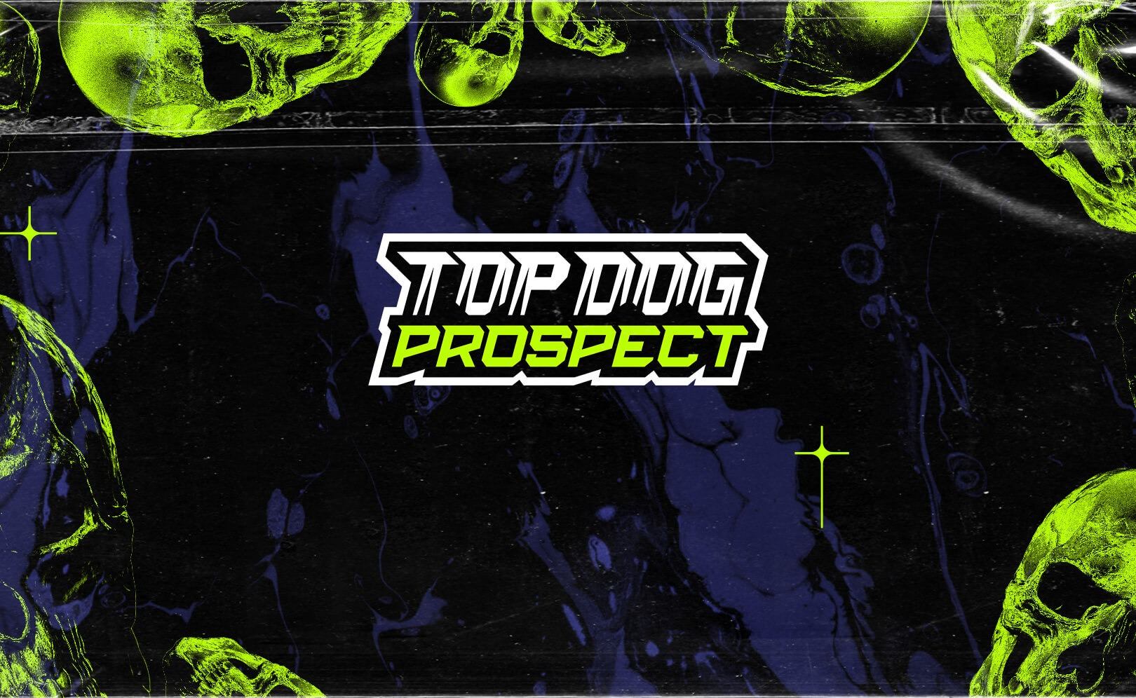 TOP DOG: PROSPECT 7 смотреть онлайн
