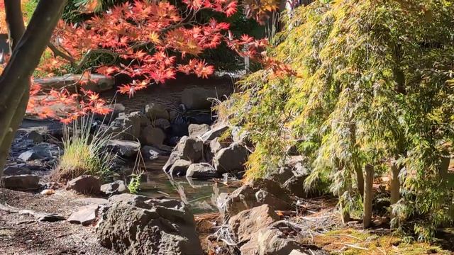 Google Pixel 8 Camera Test смотреть онлайн
