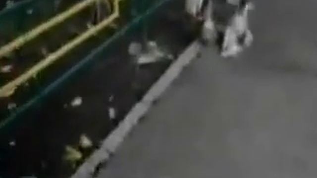 пёс не трогает кошек смотреть онлайн