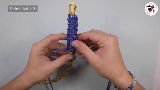 Tejido Cobra - Paracord - Solomon bar [004] смотреть онлайн