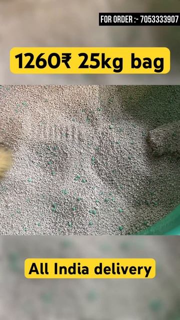Cat litter at wholesale price India смотреть онлайн