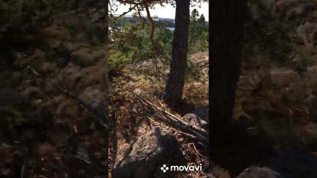 Mettä vlogi смотреть онлайн