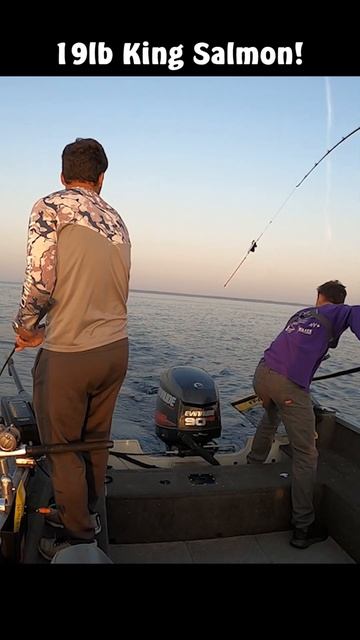 Big Salmon! смотреть онлайн