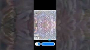 спокойной ночи малыши reverse effect dark