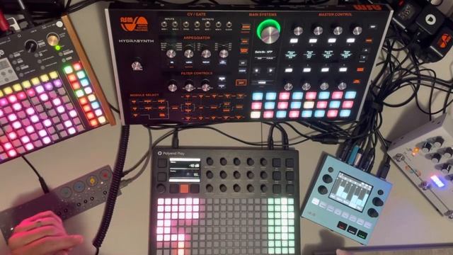 Polyend Play With Friends.