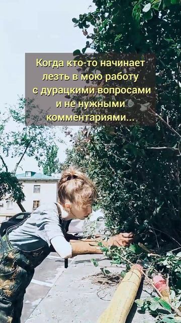 Каждый суслик - агроном. И у каждого второго дача😏 А ваш труд часто обесценивают? #озеленение смотреть онлайн