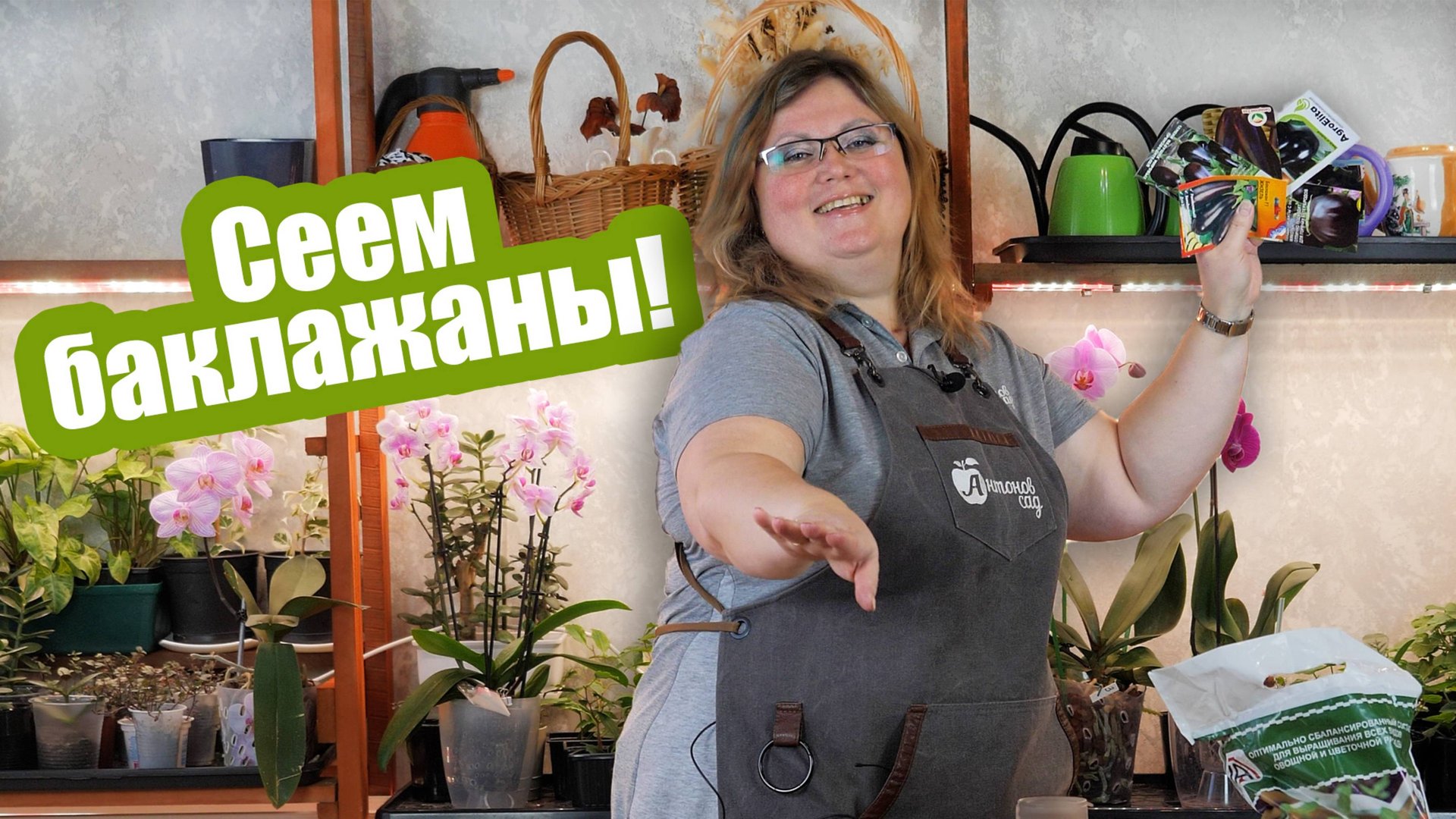 БАКЛАЖАНЫ НА РАССАДУ когда сеять, как составить грунт и подготовить семена смотреть онлайн