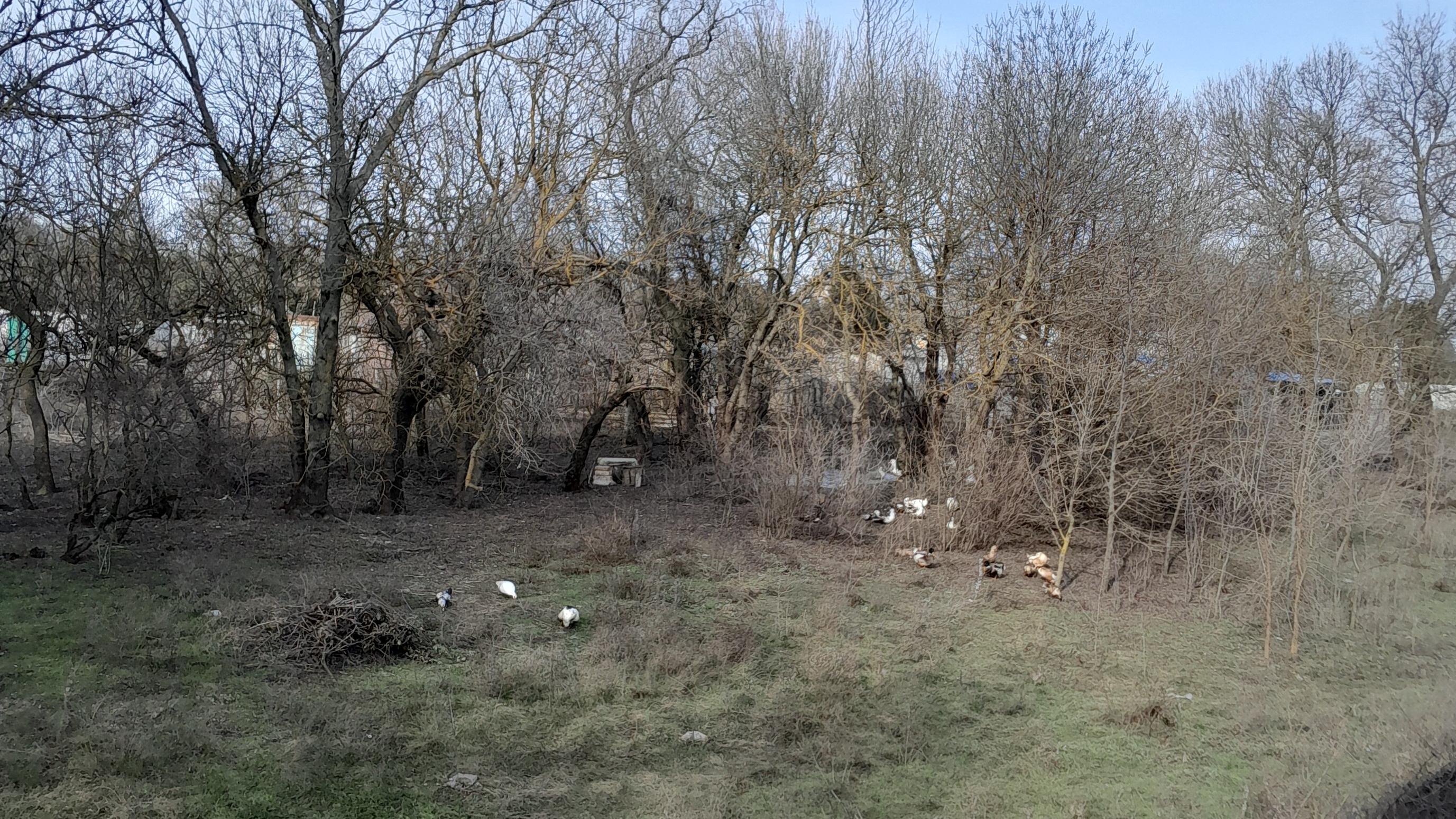 Херсонская обл