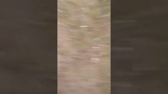 Нарклманы смотреть онлайн