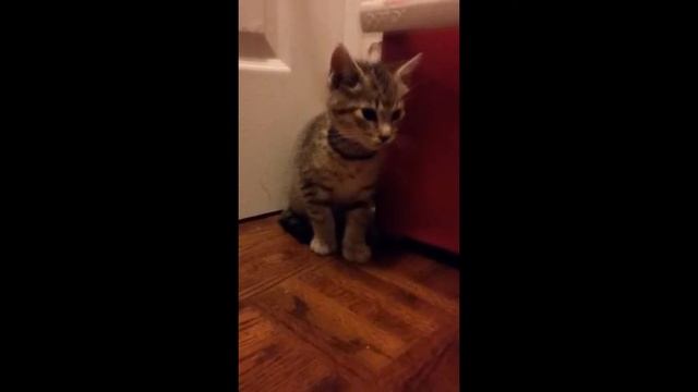 first video by delia смотреть онлайн