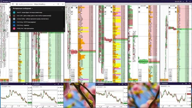 Онлайн торговля на криптовалюте. смотреть онлайн