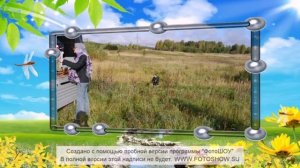 Поселение Родовых Поместий «Любоисток» Приглашаем Добрых соседей!
