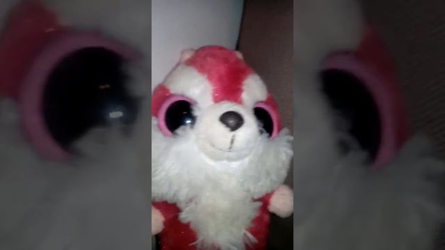 Новости хомяка смотреть онлайн