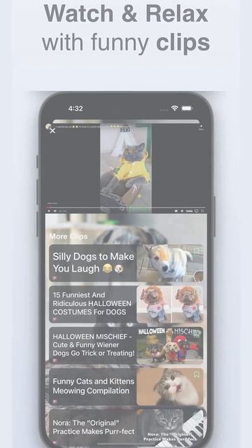 Dog & Cat Translator: Communicate With Your Pet By Their Sounds Just By Your iPhone #shorts смотреть онлайн