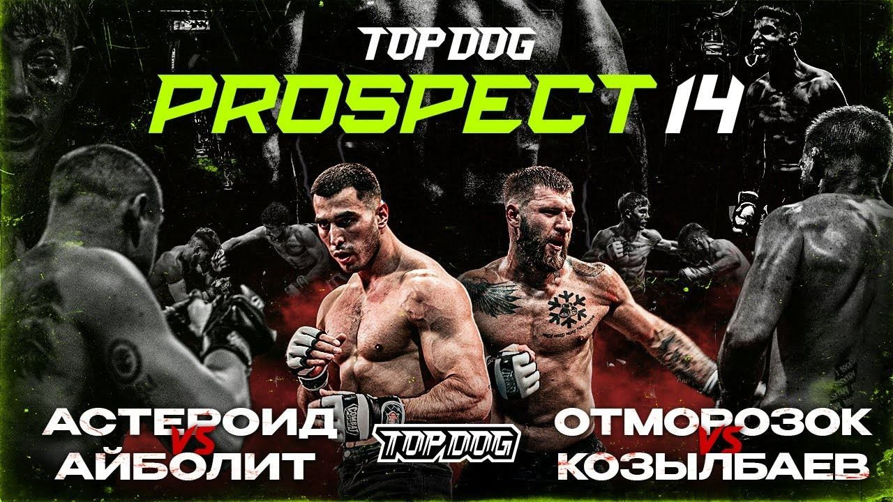 TOP DOG: PROSPECT 14, Дмитров | Астероид VS Айболит, Отморозок VS Козылбаев смотреть онлайн