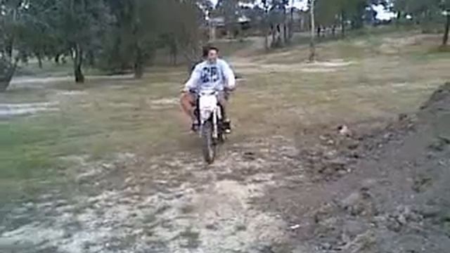 having a secondary squiz on the 110/140cc orion pit bike смотреть онлайн