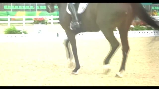 Horses/music video/ Circle смотреть онлайн