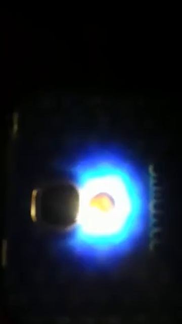 Huevo lygodactylus williamsi смотреть онлайн